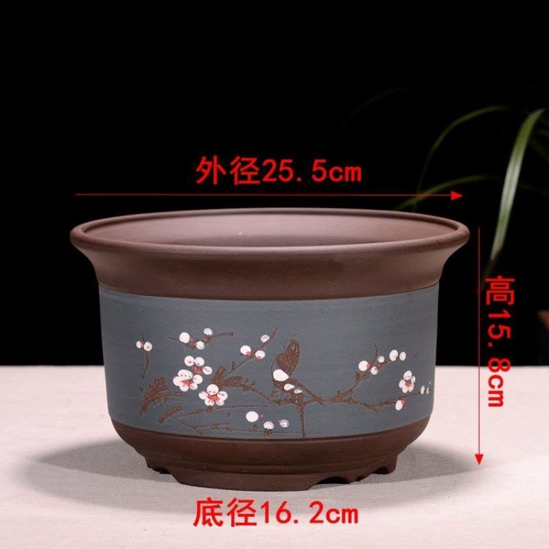 特价紫砂花盆精品紫砂兰花盆多肉盆景盆栽陶瓷盆君子兰兰盆清仓【价格