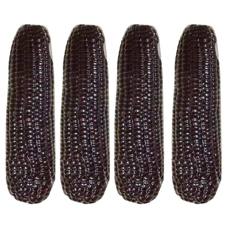 [西沛生鲜]新鲜黑糯玉米 大棒 10根装 单根220-300g 黏玉米甜糯玉米袋装高清大图