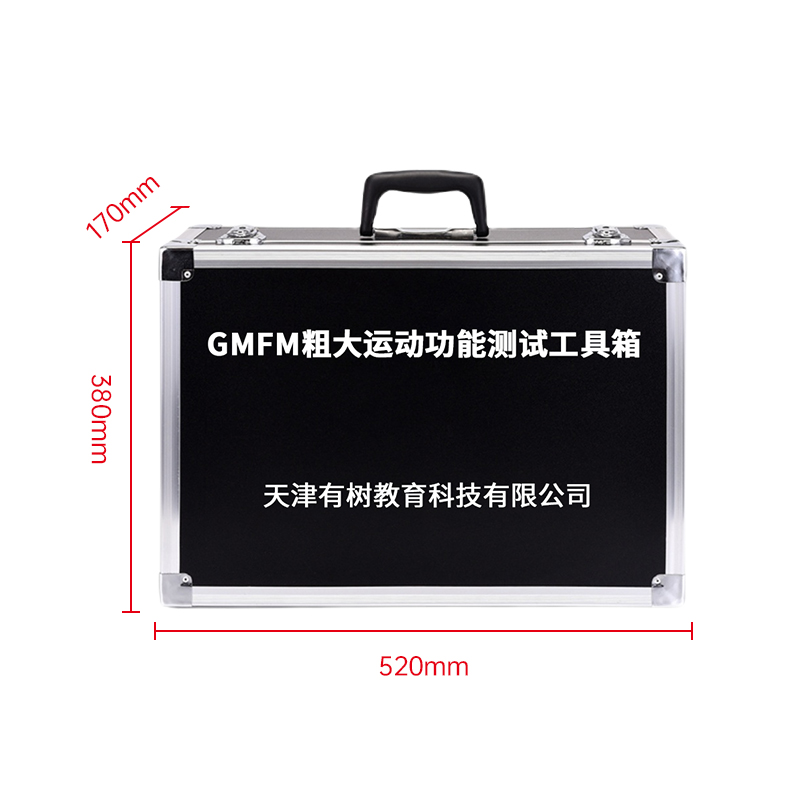 有树 YSXL-GMFM01 GMFM88项儿童粗大运动功能发展能力评估减压工具箱早教教具高清大图