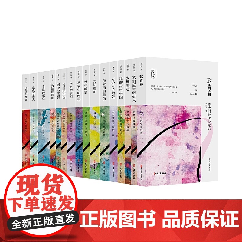 西北远征记:宣侠父小说诗歌选高清大图