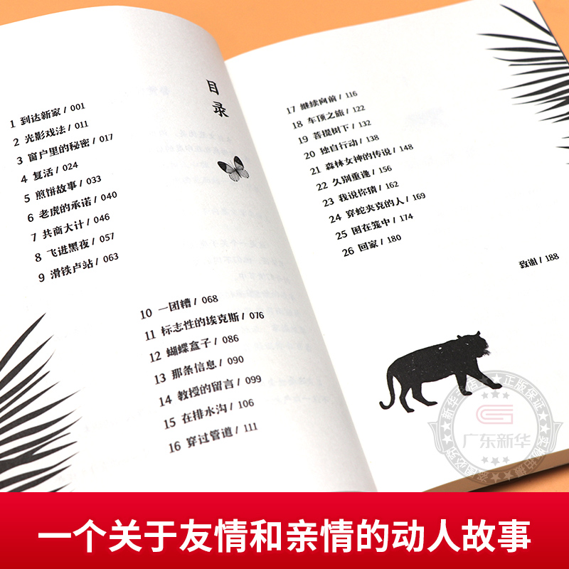 神奇的虎皮地毯 [正版]2024年广东省寒假读一本好书 神奇的虎皮地毯 琼海格著 奇幻魔法冒险故事成长励志读物小学生三四高清大图