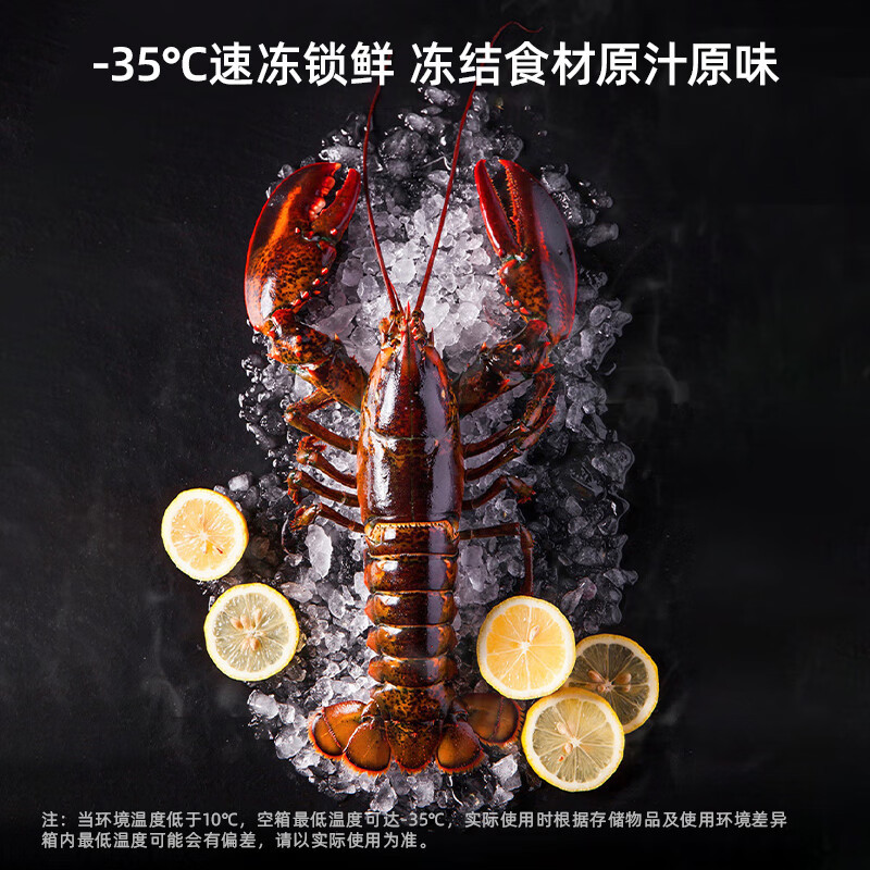 美菱(MeiLing)抑菌减霜300升单温家用冷柜84.1%减霜深冷速冻120小时断电保护BC/BD-300DTX高清大图