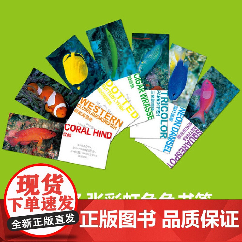 水下摄影 鱼类识别潜水爱好者喜爱的珊瑚礁鱼类识别指南书 潜水爱好者几乎人手一本的“鱼书 告别鱼盲 变身鱼类专家高清大图