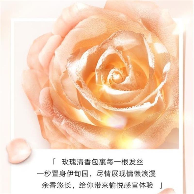施华蔻&金纯盈润精油洗发露600ml*2+ 润发乳 600ml高清大图
