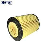 汉格斯特(hengst)机油格滤清器纸芯E820H D245适用于新款宝马114i 116i 118i 316Li