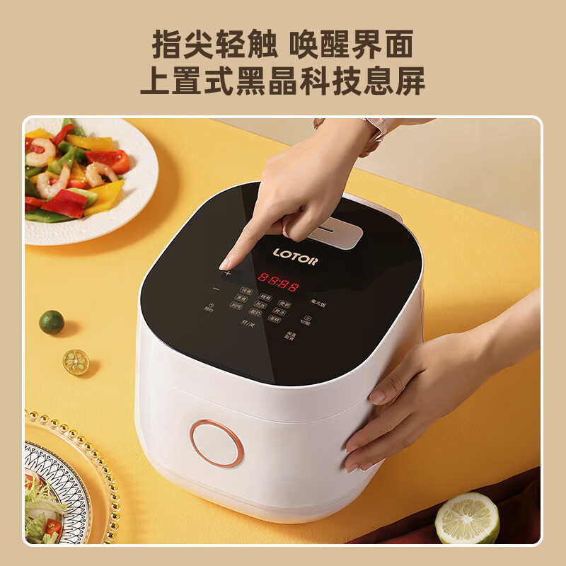 LOTOR浣熊电饭煲家用智能小型电饭锅柴火饭多功能米饭锅3升2-4人 白色标准款3L