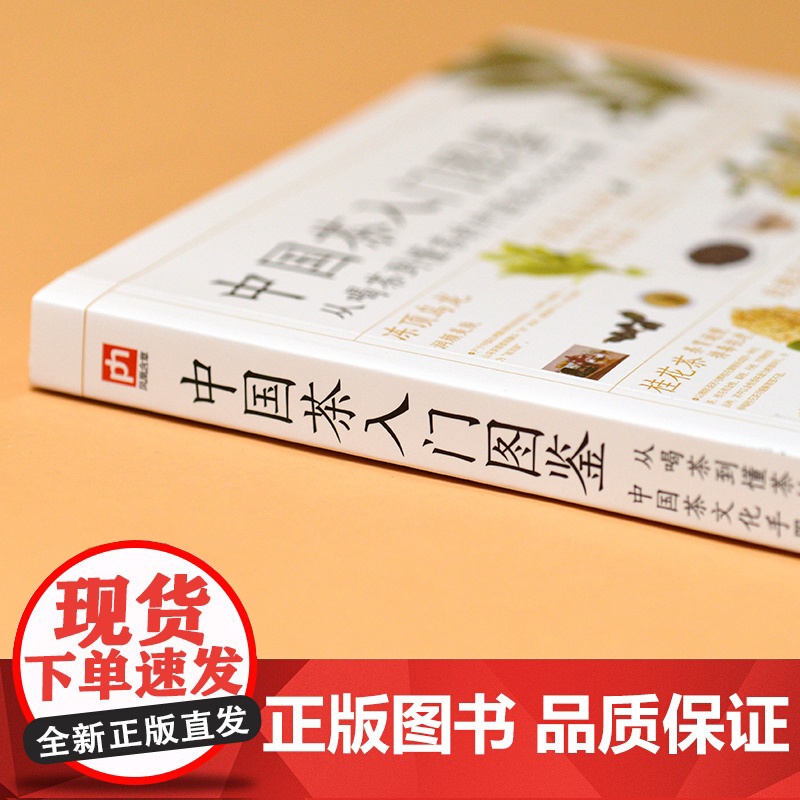 正版书籍 中国茶入门图鉴 从喝茶到懂茶的中国茶文化手册 实用茶道 步骤详解 让您轻松从入门到精通 实用茶学茶艺百科全图鉴高清大图