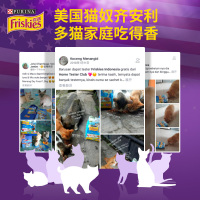 喜跃成年期全价猫粮肉和海洋鱼味 1.3kg成猫通用全价粮