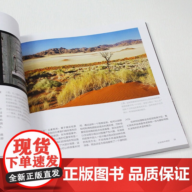 正版书籍 摄影构图艺术 摄影书籍入门教程 美国纽约摄影学院教材 风光摄影 数码单反相机人像摄影艺术 手机摄影书高清大图