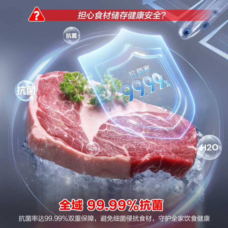 容声(Ronshen)200升减霜冰柜家商两用冷藏冷冻转换单温一级能效节能省电卧式冷柜 BD/BC-200ZMSMB高清大图