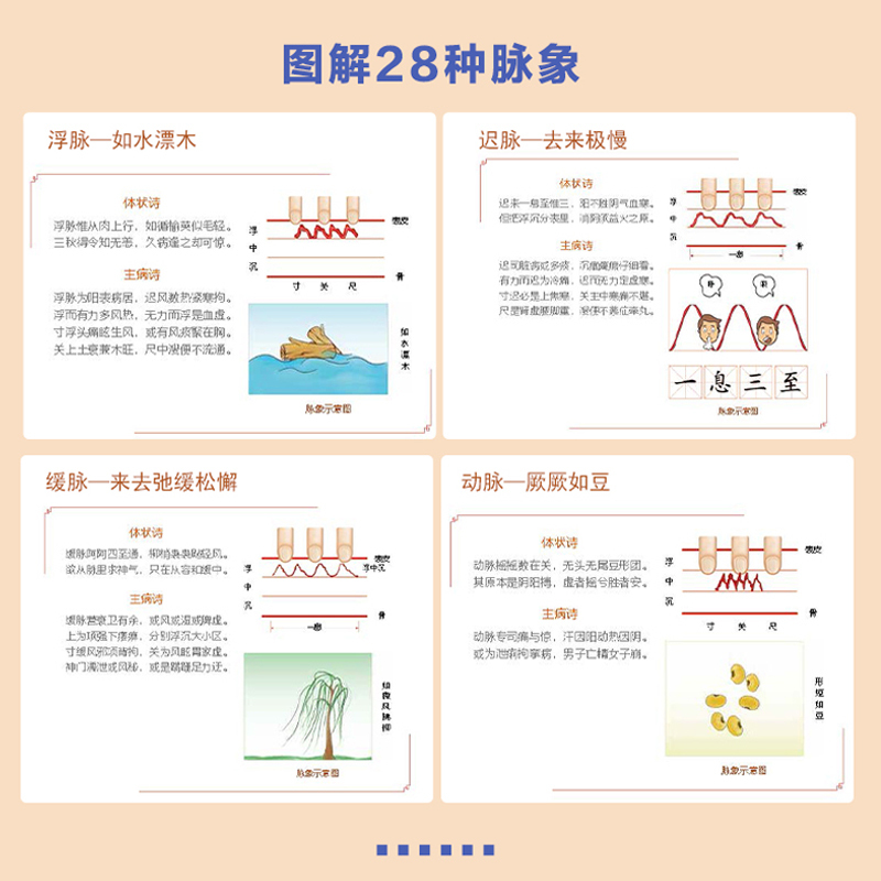 [正版] 书籍零起点脉诊入门