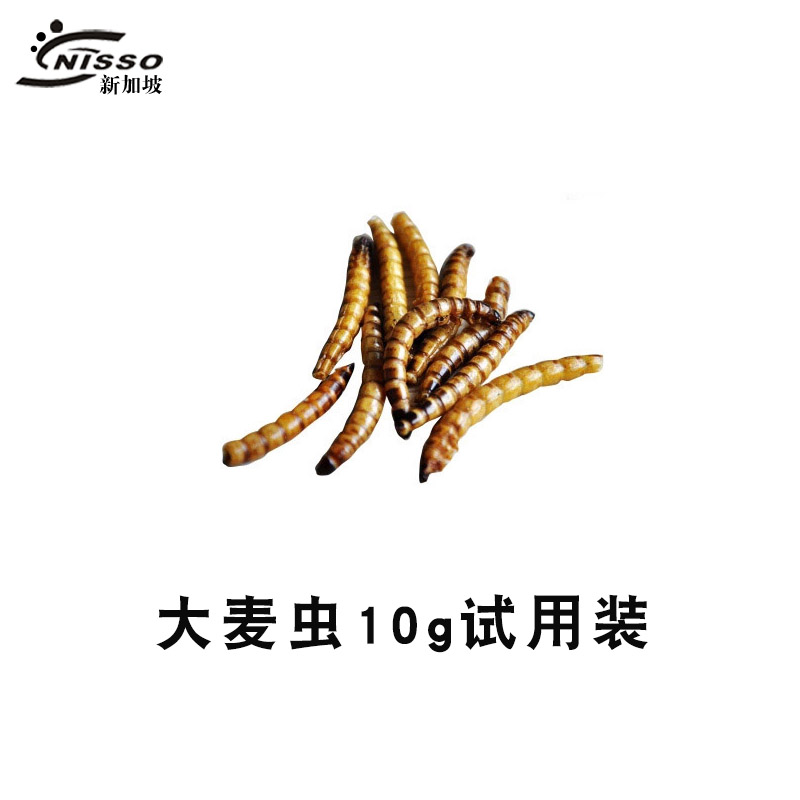 热带鱼饲料淡水金龙鱼饲料红龙鱼饲料面包虫大麦虫干鱼食 默认尺寸 大麦虫10克试用装