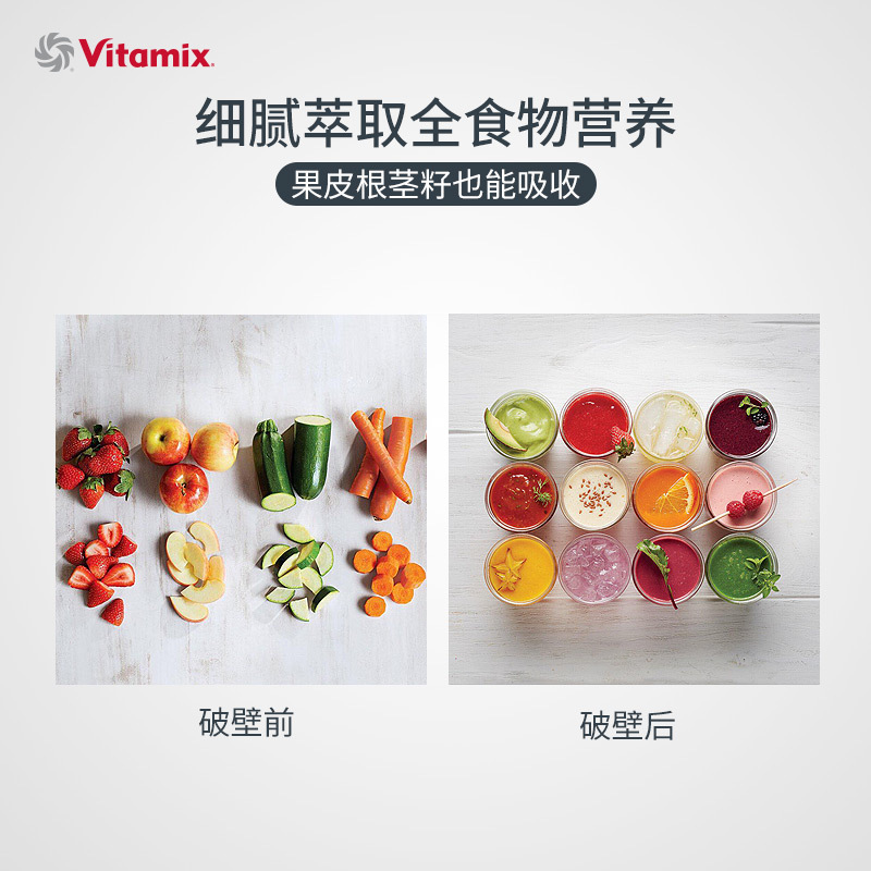 维他密斯(Vitamix)破壁料理机E310 全自动家用多功能破壁机 物理加热双重保护 搅拌机豆浆机料理机榨汁机