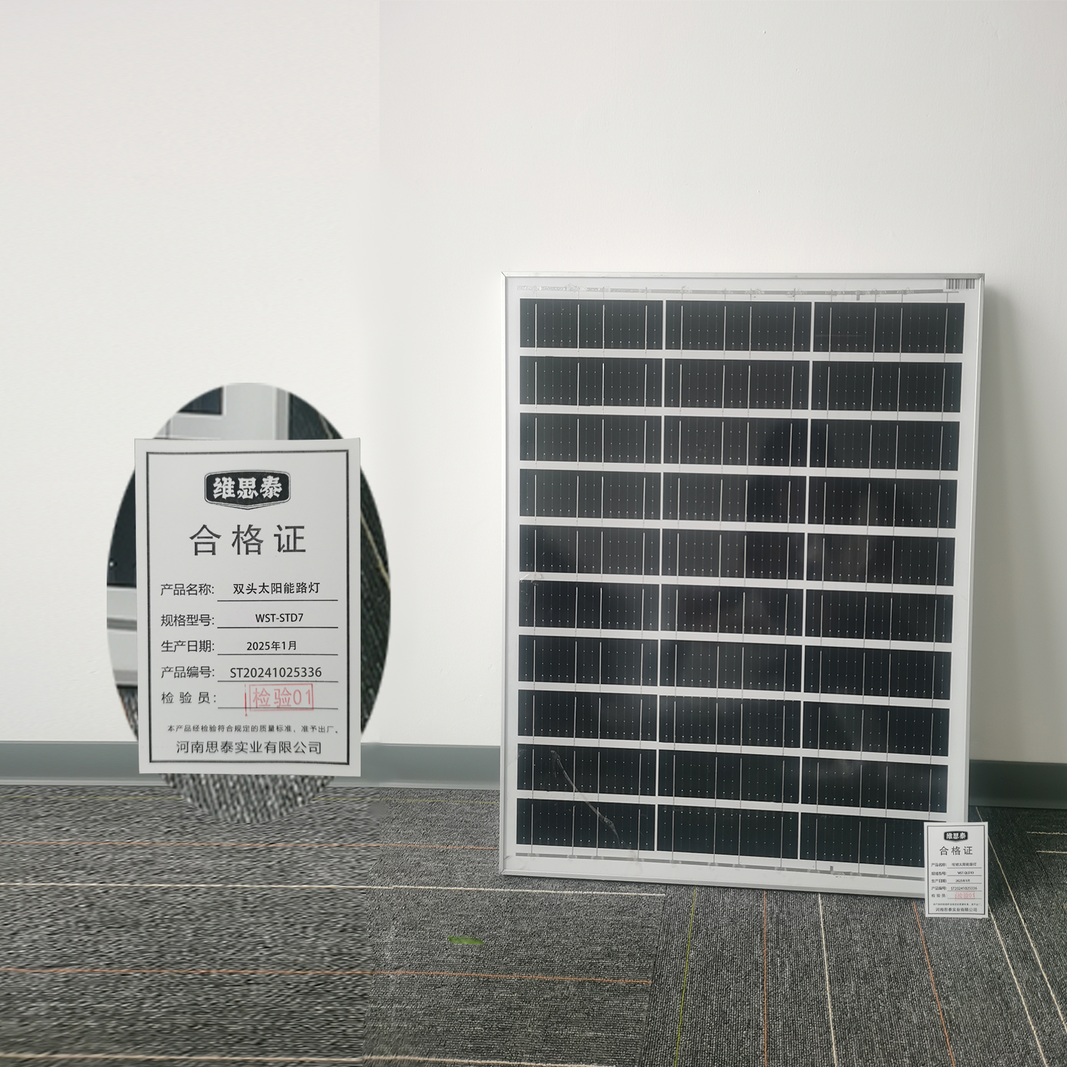 维思泰 双头太阳能路灯 WST-STD7 个高清大图