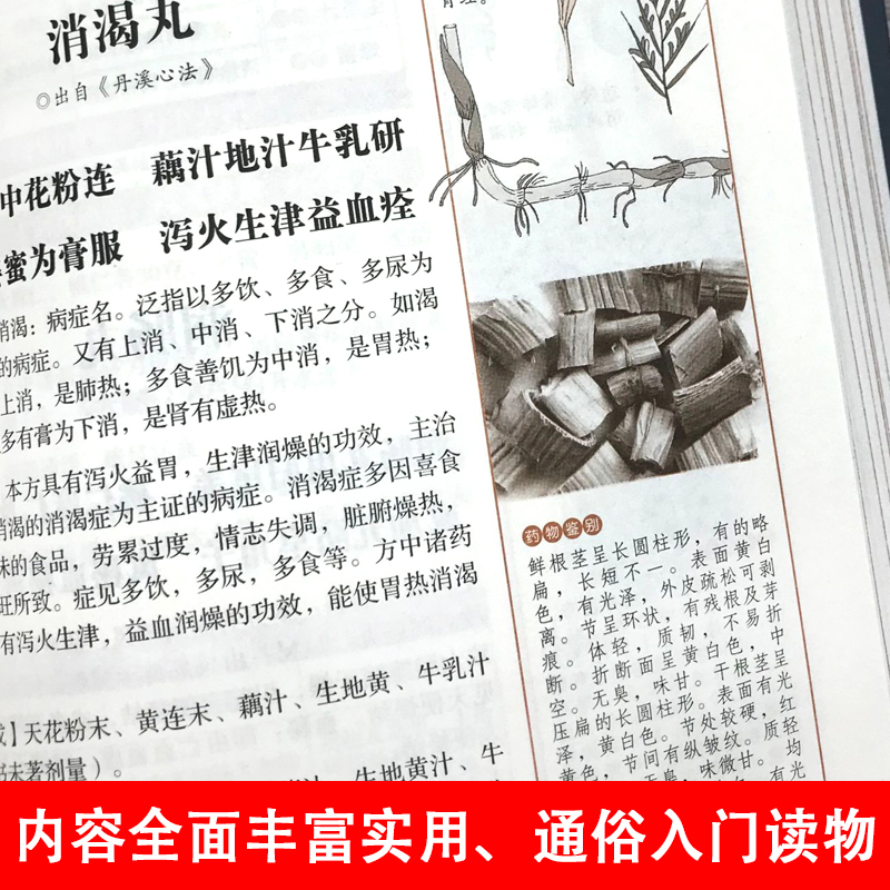 通半夏泻心汤方剂学归脾汤中医书籍中医养生草药书药性赋汤头>800_800