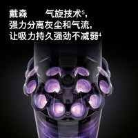戴森(Dyson)无绳吸尘器 V10 Fluffy Extra 40分钟地面续航 家用除螨 整机过滤 4款配件吸头