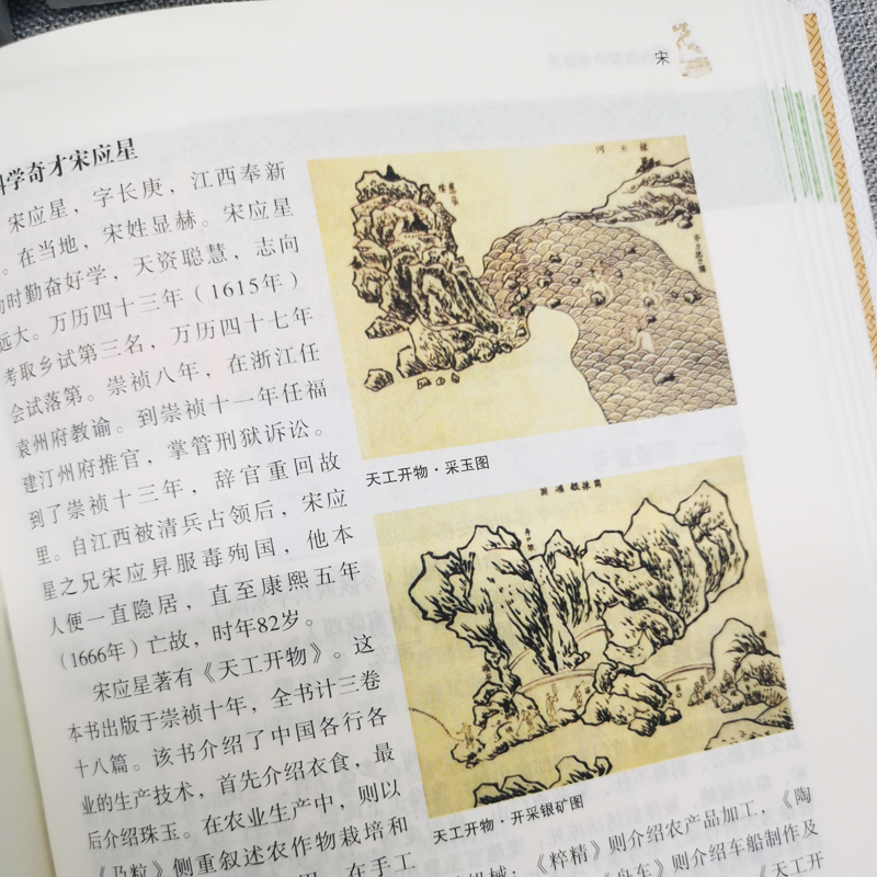 [正版] 中华姓氏 全彩白金版姓氏的起源发展迁徙分布中国演变文化习俗传统民间文化开拓眼界拓宽知识经典图书高清大图