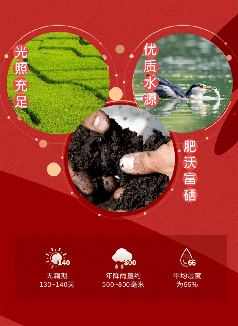 米妹妹财神送宝800g高清大图