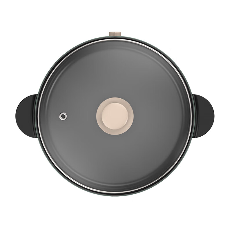 九阳 HG30-G310电火锅3L大容量多档调温电热高清大图