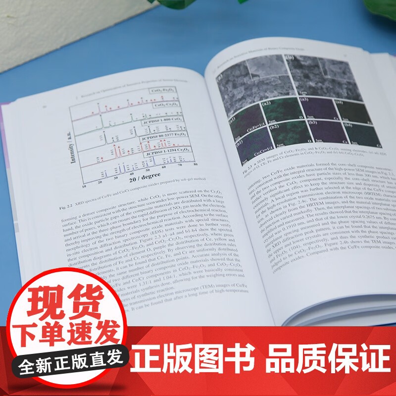 面向机动车污染物排放监测的混合电位式钇稳定氧化锆微型二氧化氮传感器 尤睿 著 工业技术高清大图