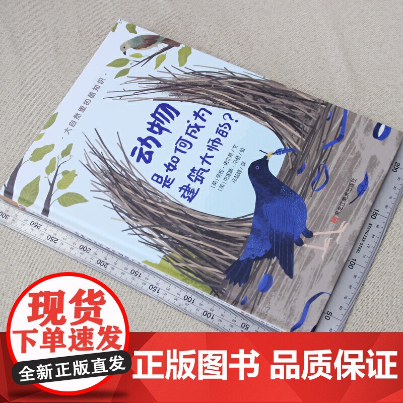 大自然里的酷知识:动物是如何成为建筑大师的?高清大图