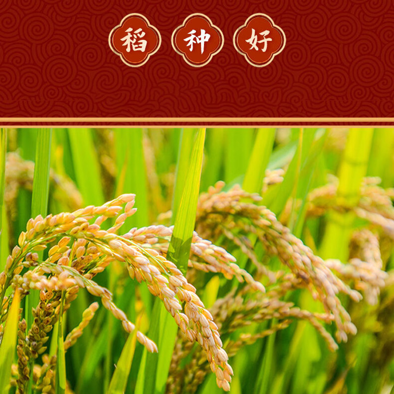 艾逸瑶选五常福稻1KG