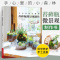 [醉染正版]手心里的小森林 苔藓书籍 苔藓瓶微景观制作书 苔藓种植养护工具材料苔藓图鉴 家庭苔藓造景设计艺术园艺混栽栽培