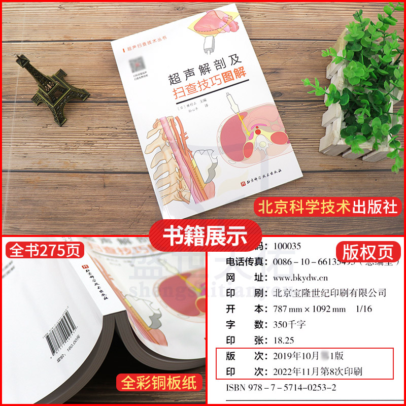 [醉染正版]超声解剖及扫查技巧图解 超声书籍操作超声解剖图谱用书医学书籍消化腹部乳腺结节超声分级b超超声成像妇产科超声报高清大图