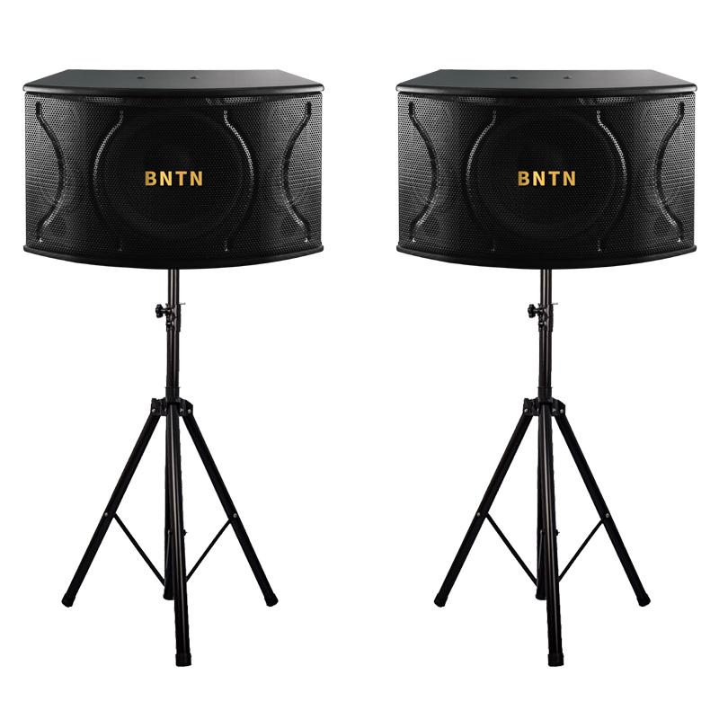 奔腾 (BNTN) 音响 音箱 家庭影院 木箱影院 卡拉OK 专业音响 KTV 会议音箱 舞台音箱 展会音箱 450音箱