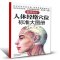 [醉染正版]正版 人体经络穴位标准大图册 清晰版 人体经络解书 人体经络中医按摩解大全书籍 养生书籍 穴位按摩书籍中