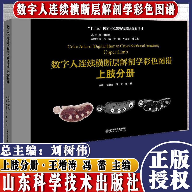 腹部分册 [正版]正品 数字人连续横断层解剖学彩色图谱 全套6本 腹部+盆部与会阴+上肢+下肢+头颈部+胸部分册 山东科