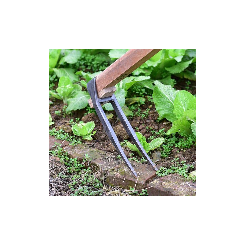 家用全钢长把二齿锄头两用挖土开荒种菜开垦种地农具两齿农用耙子