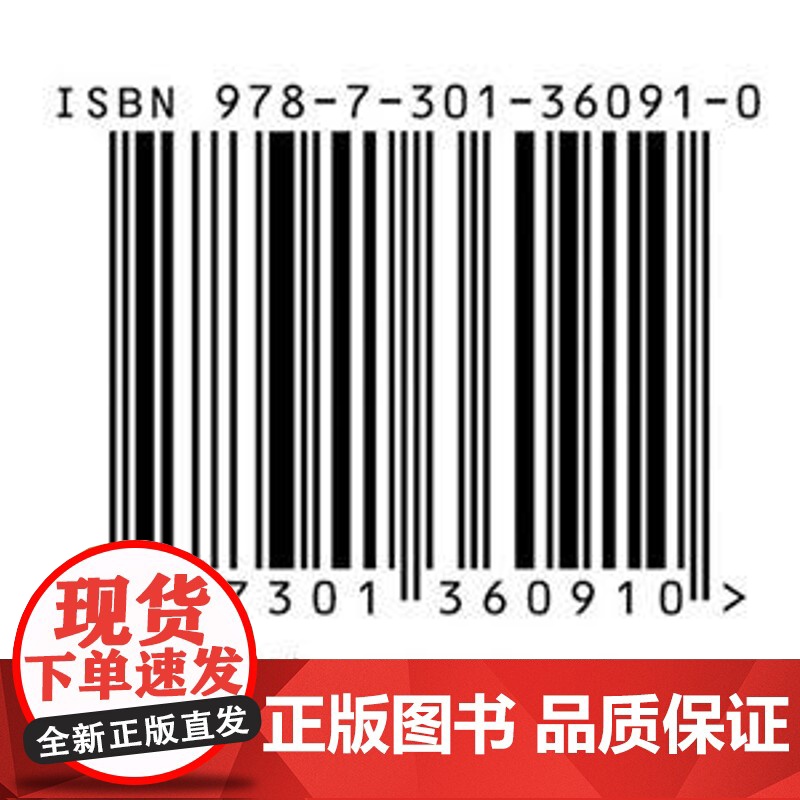 数字技术与现代银行业导论 陈思翀 白小滢 董志华 北京大学出版社9787301360910正版书籍高清大图