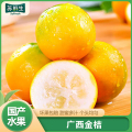 【苏鲜生】广西小金桔 9斤 特大果 约28个/斤 新鲜水果脆甜滑皮冰糖金桔应当季水果