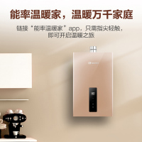能率(NORITZ) 16升燃气热水器 GQ-16EW5FEX(天然气) app智控恒温 无极换挡燃烧 停水控温