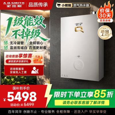 [重磅新品]国家补贴AO史密斯一级能效16升小精钢燃气热水器QCE5