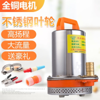 高扬程12V24V48V直流潜水泵电瓶车水泵电动车船用水泵抽水机 不锈钢48V300W7米电缆送水管