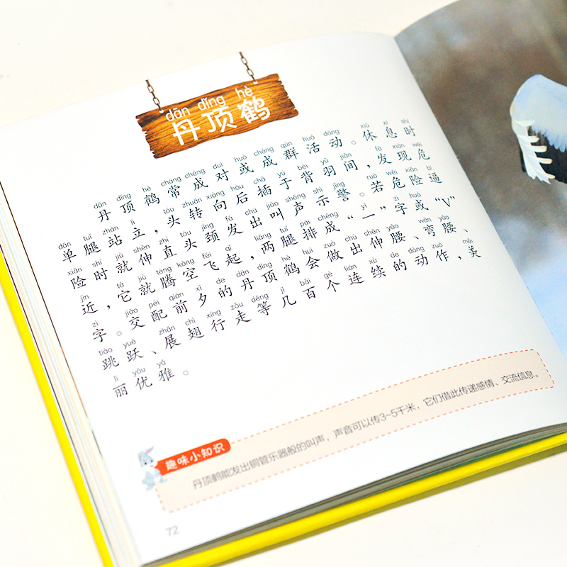醉染图书1分钟儿童小百科-动物小百科9787571303396高清大图