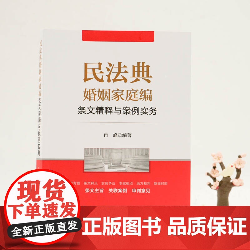 民法典婚姻家庭编条文精释与案例实务 肖峰 著 法律高清大图