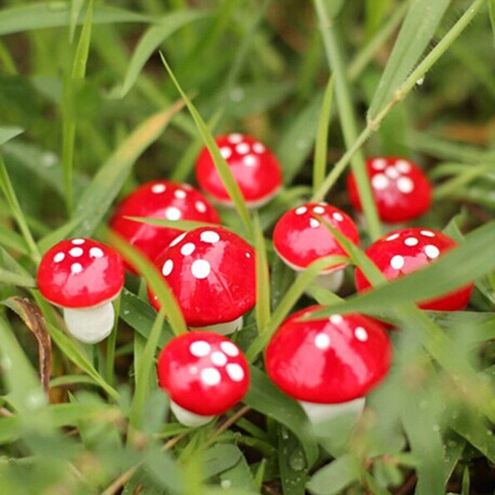 仿真植物迷你泡沫小蘑菇diy微景观多肉盆栽 盆景森林真菌装饰-【2.5cm】;1包