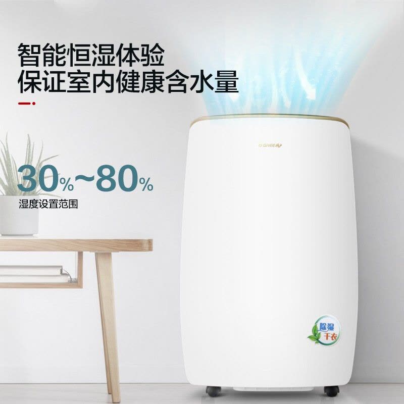 格力( GREE ) 除湿机 DH20EH/ 40EH急速除湿家用抽湿器除湿机31-40㎡微电脑式日除湿20/40升可选图片