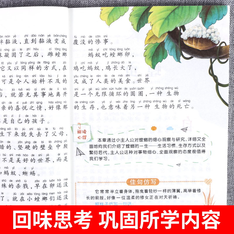 安徒生童话 [正版]法布尔昆虫记彩图注音版三年级下册一年级阅读课外书必读二年级原著完整版小学生注音版大语文学校儿童科普读