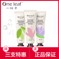 一叶子橄榄芽高保湿滋养润护手霜30g*3支 质地柔润清爽不油腻