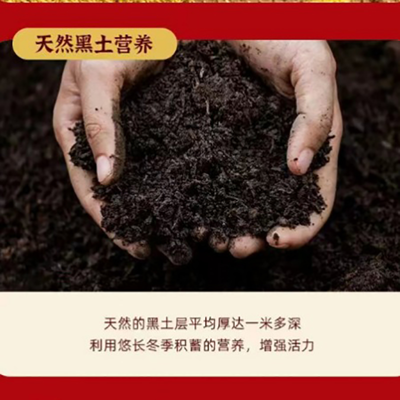 九碗皇粮共青鲜米大米5kg高清大图