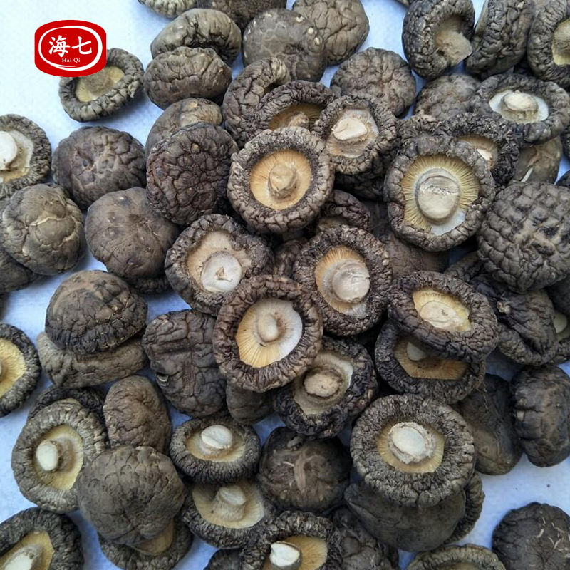 海七南北干货金钱菇210g高清大图