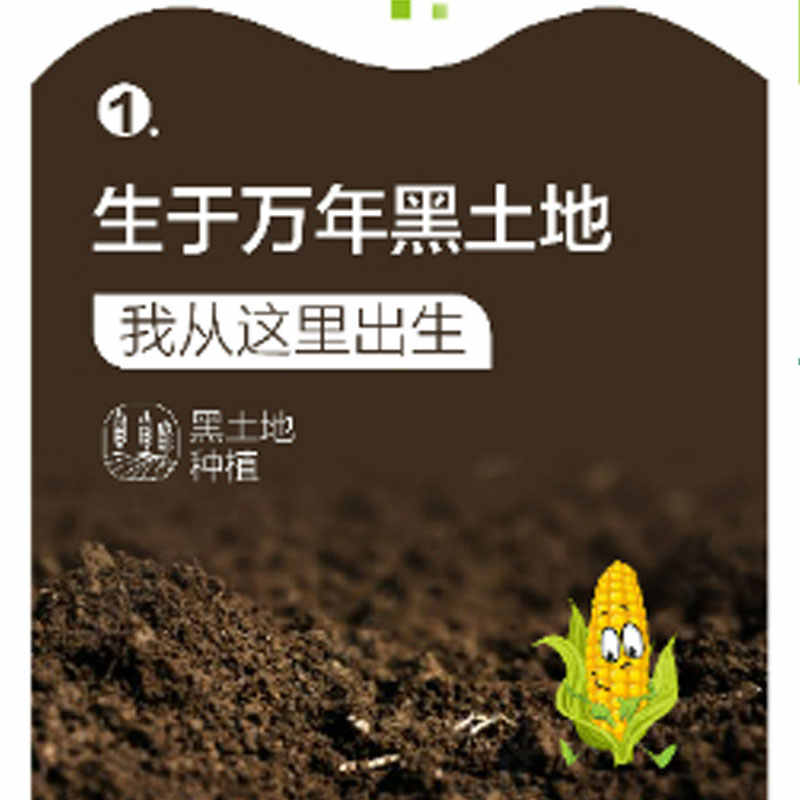 来伊份玉米糯米粒甜糯玉米整箱非转基因锁鲜杂粮真空包装代餐[6根]甜糯玉米1.2kg/箱高清大图