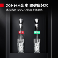 德玛仕(DEMASHI)直饮水机 商用学校烧水机开水器 SRZ-20/SRZ-2L柜式一开一温全黑