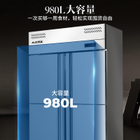 澳柯玛(AUCMA) 厨房冰箱VF-980AW 风冷冷冻冰箱大容量冷柜饭店后厨冷藏冷冻展示柜食品储藏箱