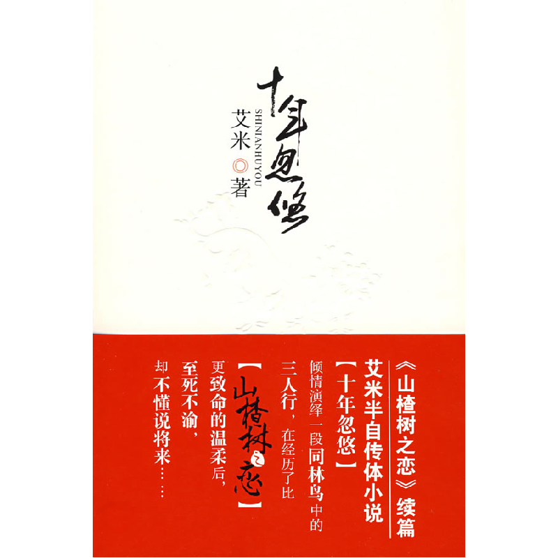 正版新书]十年忽悠(《山楂树之恋》续篇,艾米半自传体小说)艾米高清大图