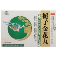 河西栀子金花丸9g*10袋/盒清热泻火凉血解毒用于肺胃热盛